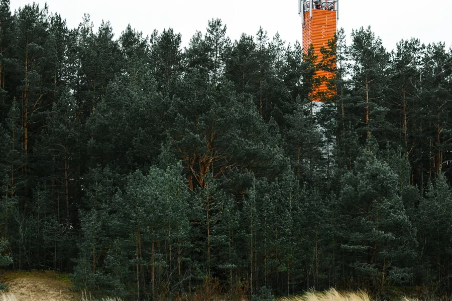 Wild forests, bogs, and coastal landscapes of Estonia's national parks and nature reserves